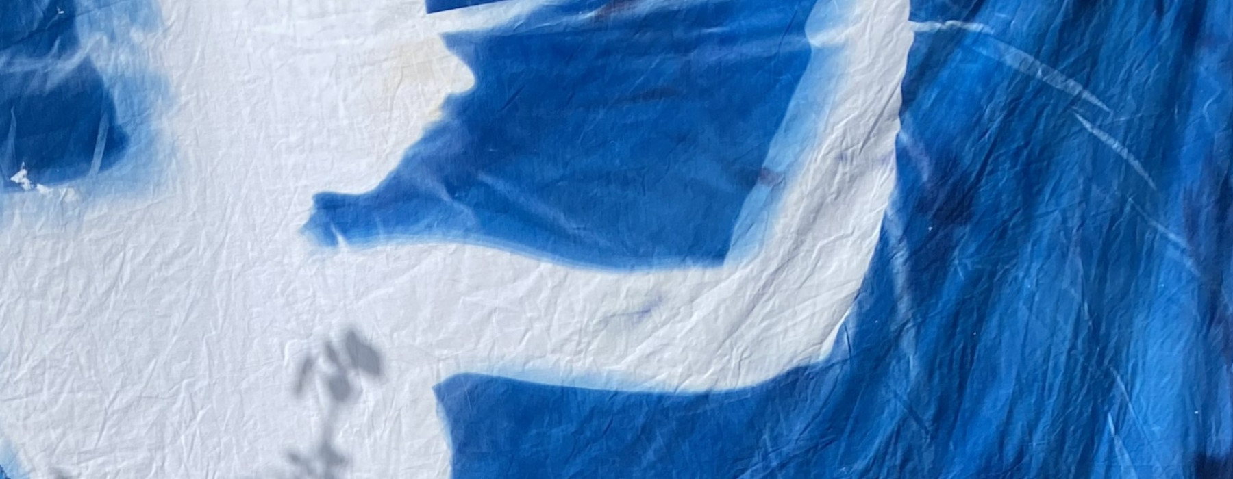 Cyanotype
