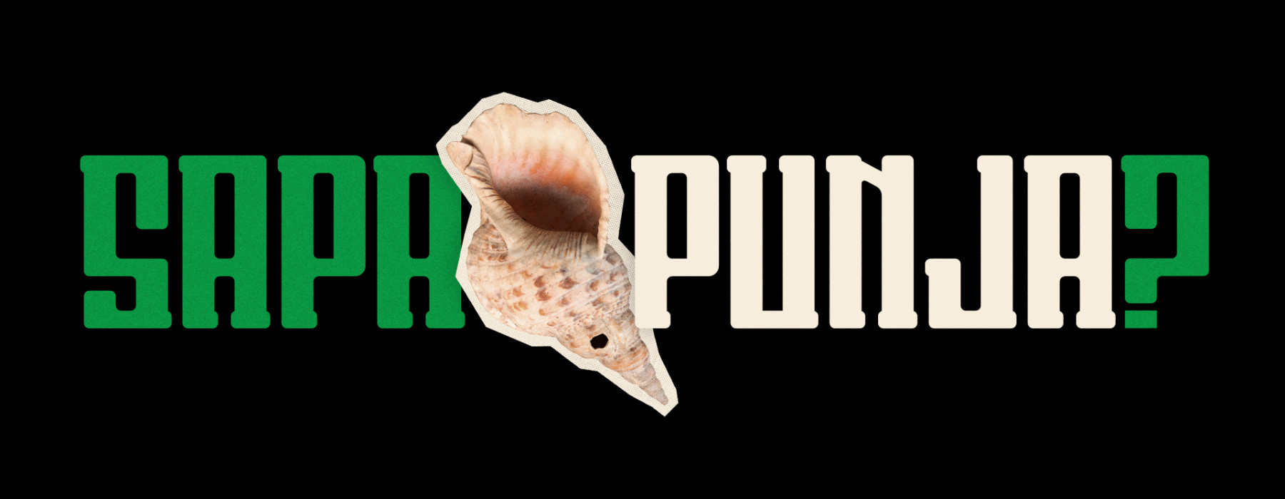 Sapa punja