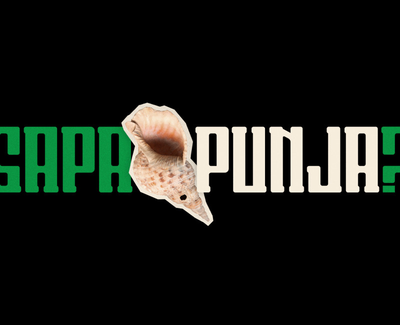 Sapa punja