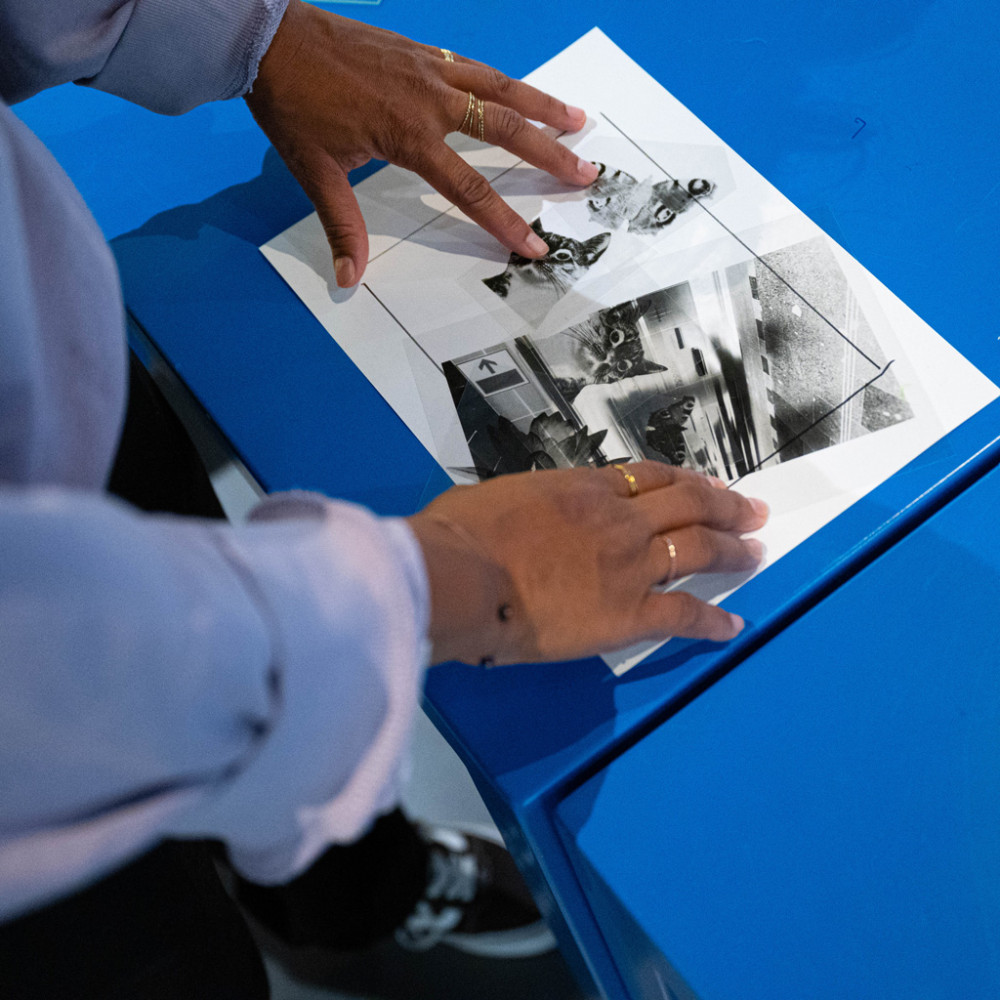 Close up cyanotype