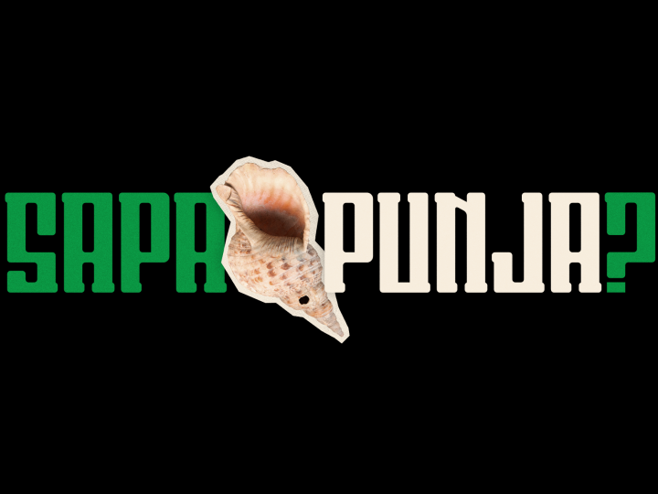 Sapa Punja? 