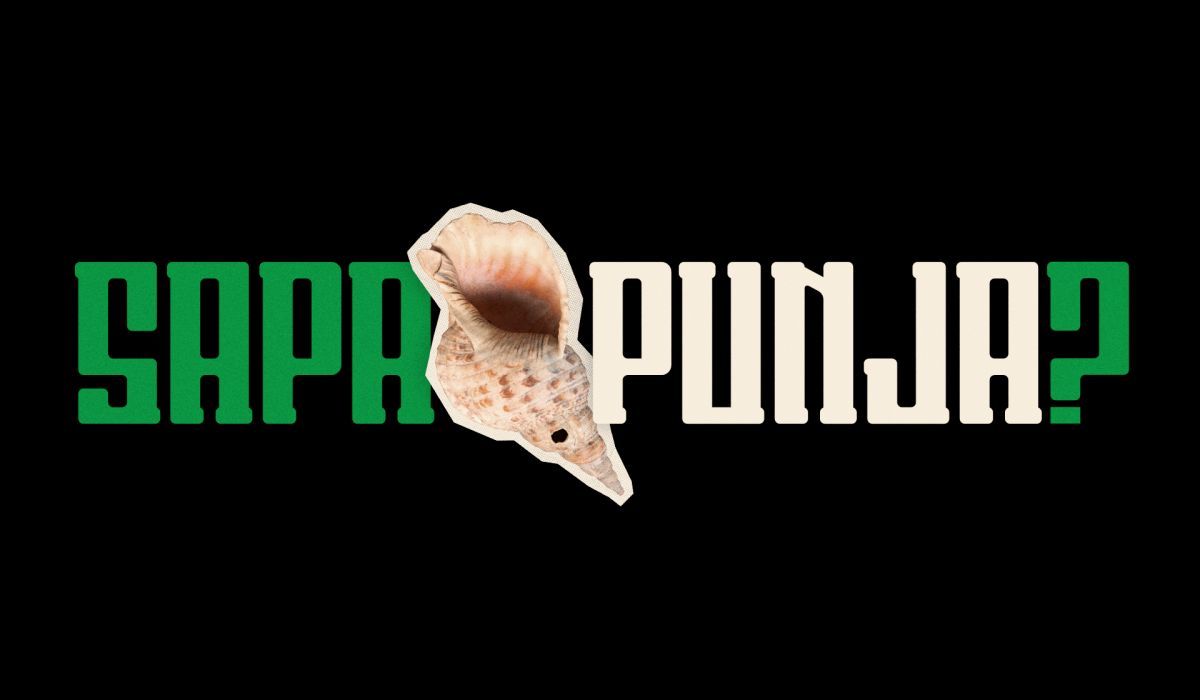 Sapa Punja? 