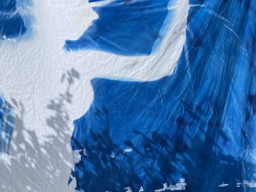 Cyanotype