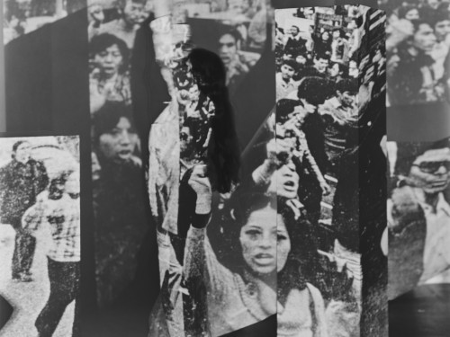 LENS - Header Tarrah